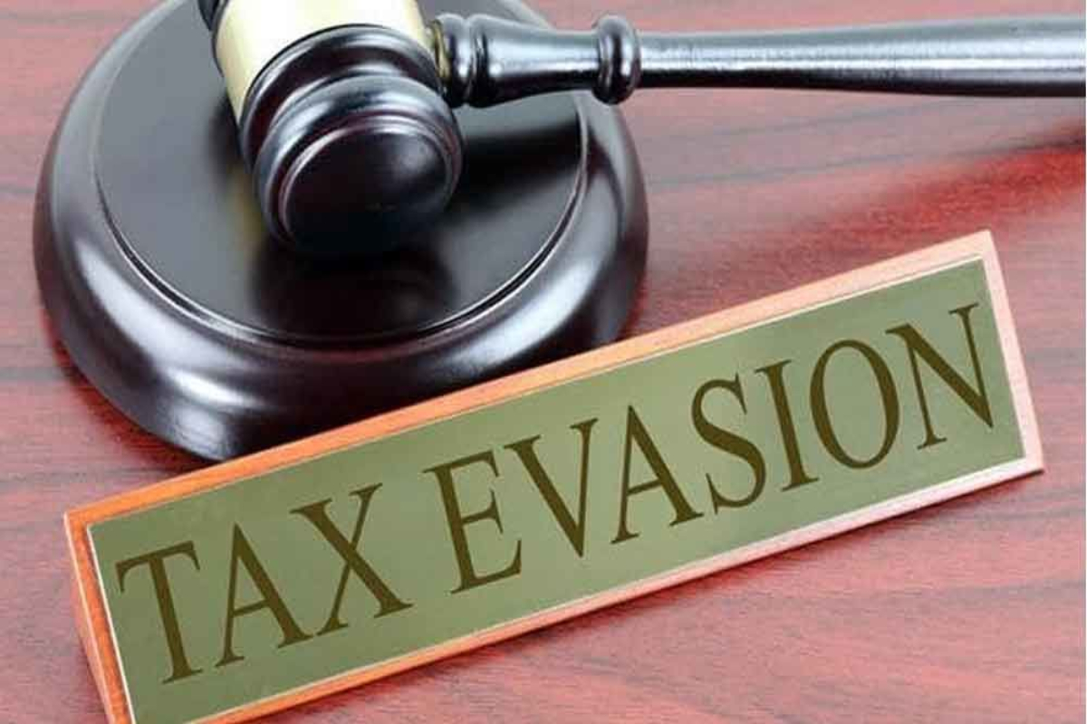 thesis on tax evasion